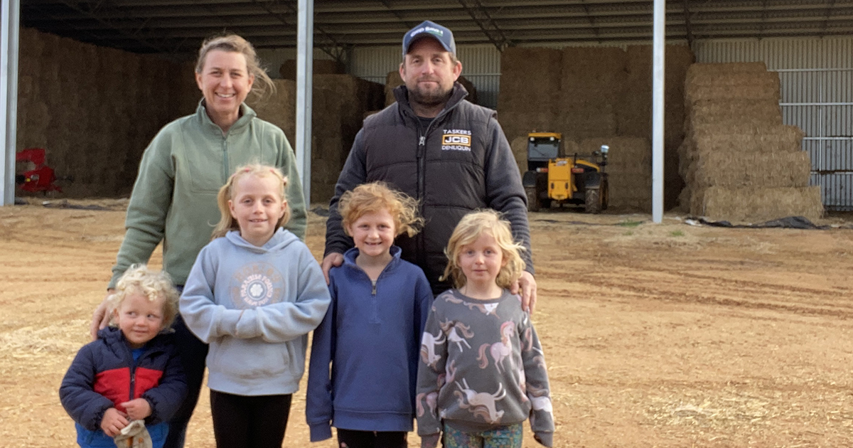 Long grass break turns the tables on herbicide-resistant ryegrass ...